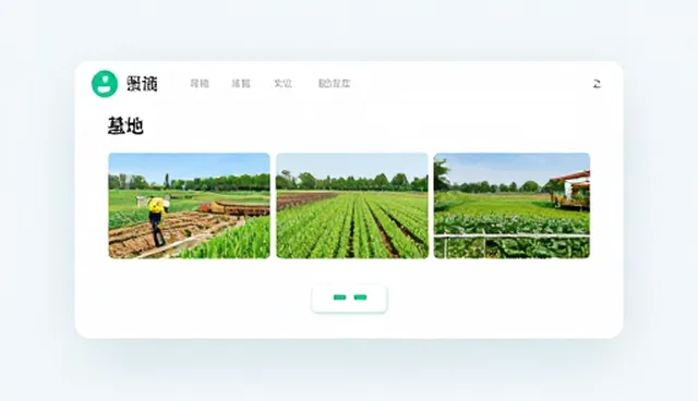 提升平台稳定性的网络技术优化策略
