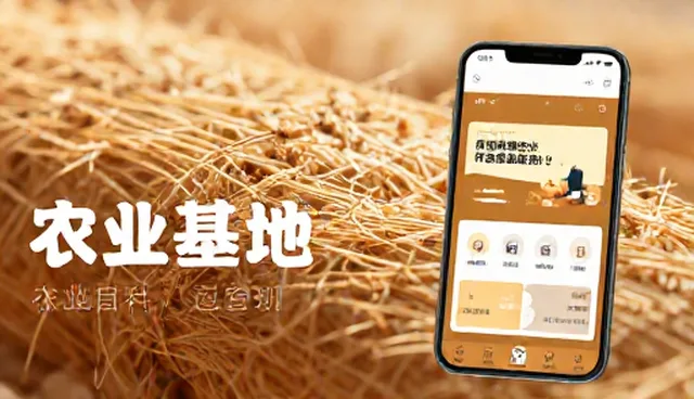 小程序商城开发中常见的理解偏差问题